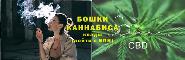 соль ск Саяногорск