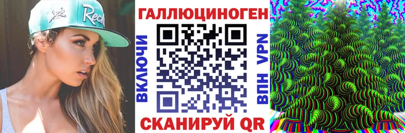 Псилоцибиновые грибы мицелий  Кедровый 